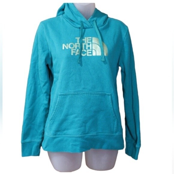 The North Face Teal Gold Metallic Spellout Pullover Hoodie Small Gorpcore - Picture 1 of 10
